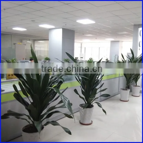 factory price 30leds WS2812B addressable led strip ws2811