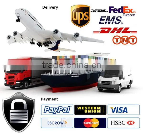 UK USA European plug CE ROHS 12v honor electronic switching adapter