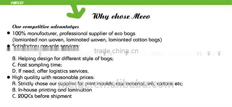 BSCI Factory Supply Food Warmer Bag, with custom design and size