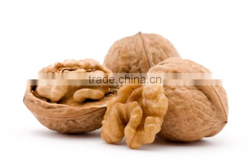 Wholesale Walnut & Walnut Kernel walnut kernels from China at Discount Price