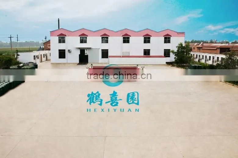 Shrimp Feed Additives fish feed additives