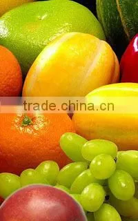 high quality High content Potassium Humic Acid Granular Organic Fertilizer