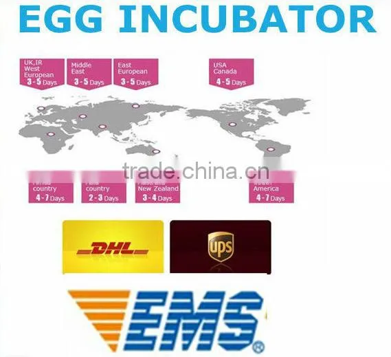 2015 New design automatic used chicken pluckers best price for sale EW-45