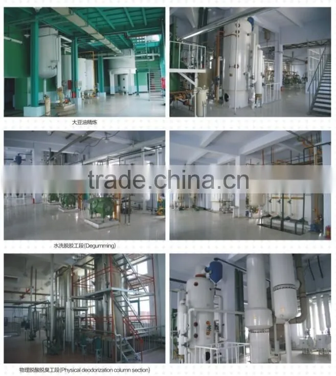 Soybean oil refinery plant