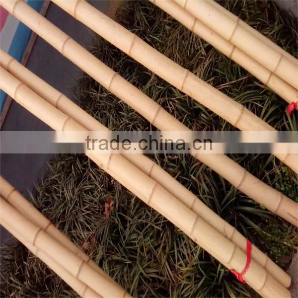 Excellent Quality Factory Price Bamboo Canes for Sale