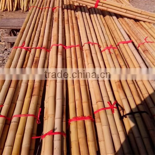 Natural Color Bamboo Cane