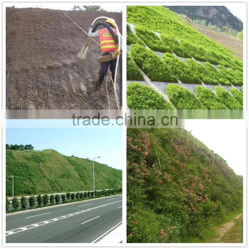 Hot sale Slope Green project thicker hydro seeder wet soil spraying machine