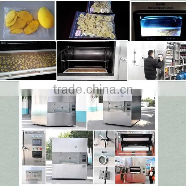 Good price Vacuum Microwave drying machine for fruit