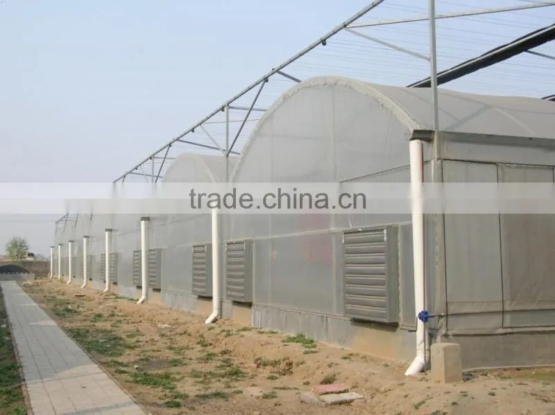 The sunlight greenhouse ecological agriculture