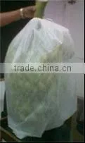 pp non woven garden fleece