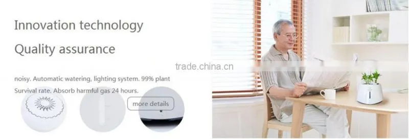 plant growth light