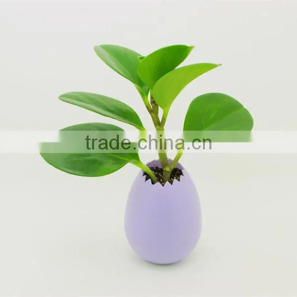 For 2015 promotional gift mini eggshell flower pot plastic injection mould parts