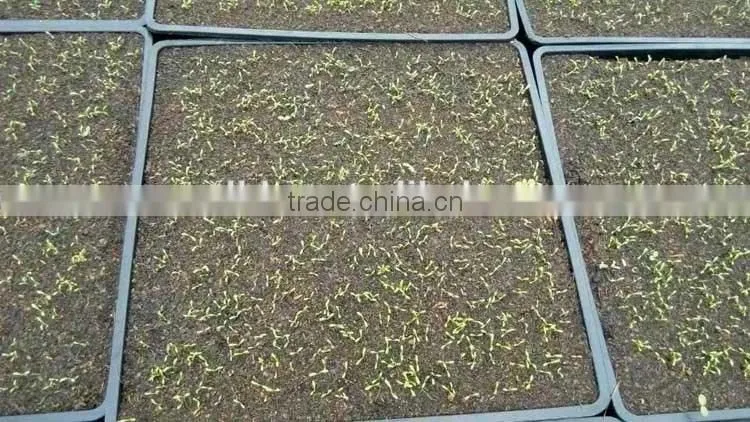 gardening supplies seed starter trays
