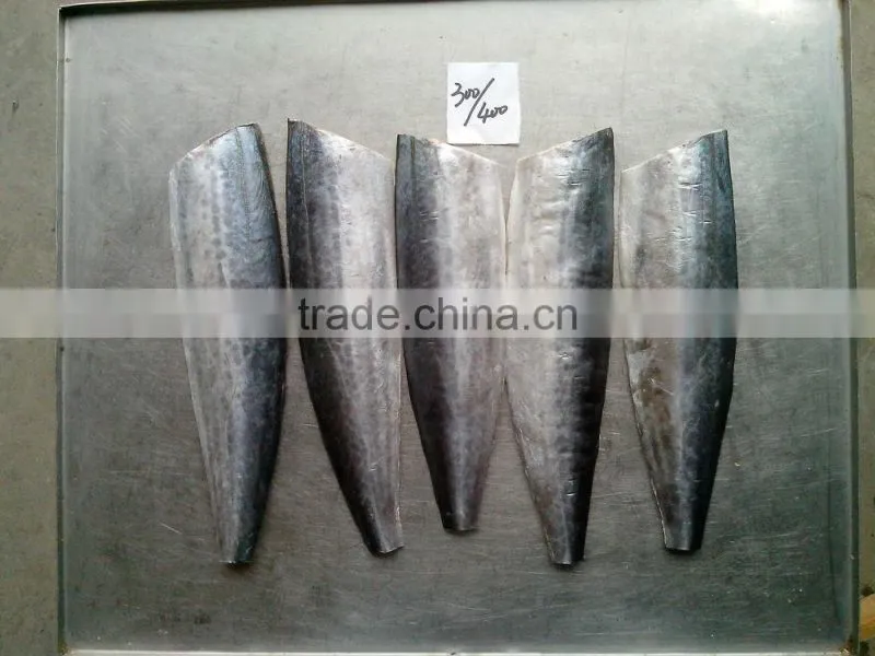 A grade quality frozen spanish mackerel fillets