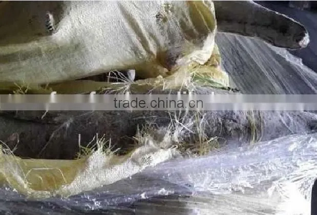 Frozen oilfish