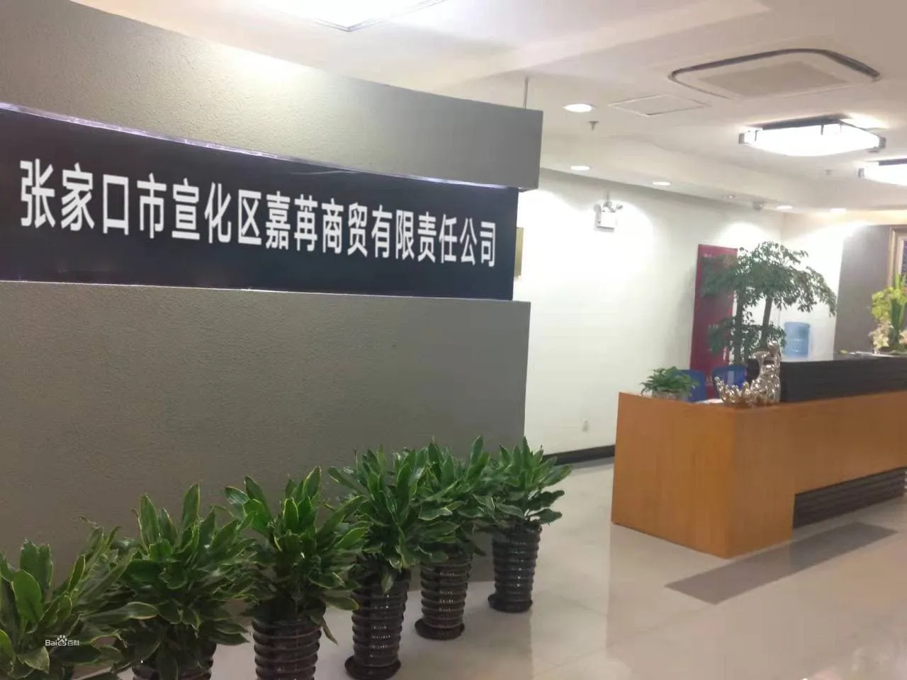 Zhangjiakou Xuanhua Jiaran Trading Co., Ltd company overview - view 1