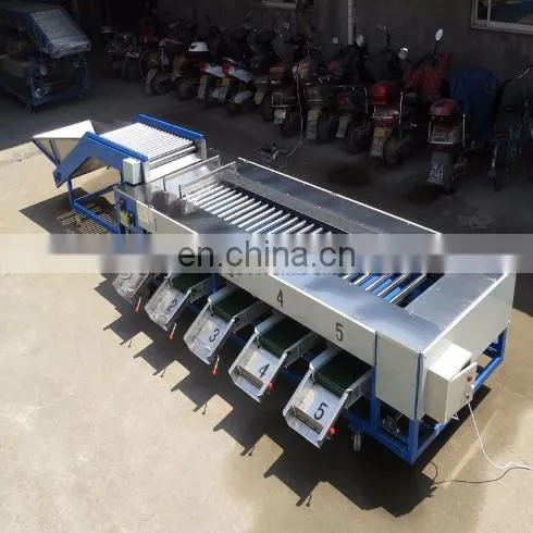 1T grading machine for olives