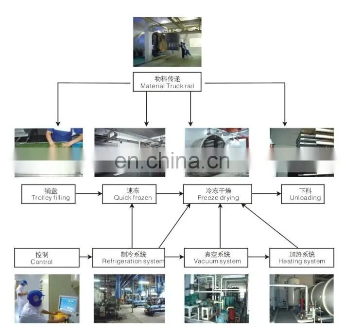 Factory genyond vacuum lyophilization lyophilized freeze dried FD food making machine lyophilizer freeze drying machine