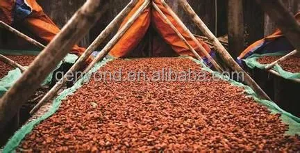 Complete Cocoa Bean Processing/cocoa Butter Processing Line