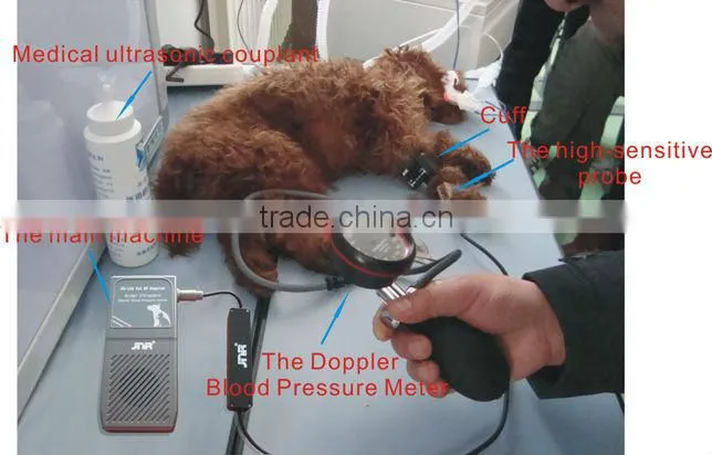 Animal Good quality blood presssure check equipment