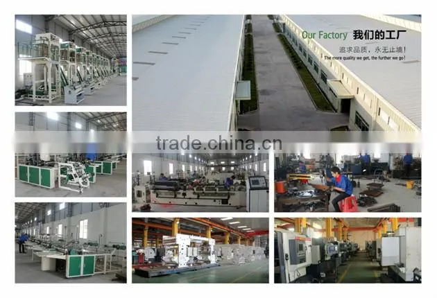 Best sale 2016 High quality Hydraulic Hole Punching Machine for making plastic bag