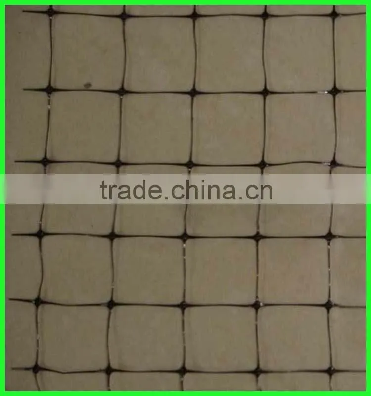 green color PE Climbing plants support plastic network