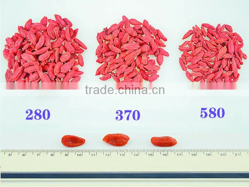 Premium Chinese ningxia goji berry natural Qinghai herbs gou qi zi sleep herbs tea dried wolfberry herbal tea