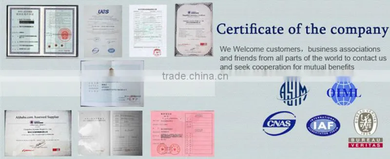 China High Quality OEM 20kg Test Weight factory price