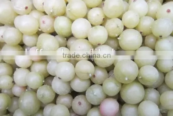 IQF frozen gooseberry with good quality and hot price