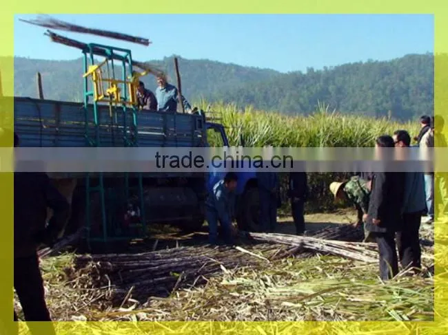 NO.1 mini sugarcane lifter or mini sugar cane lifter