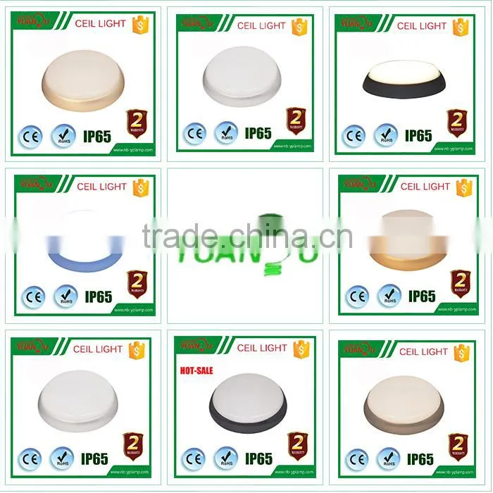 hot selling high level new design delicated appearance led ceiling light