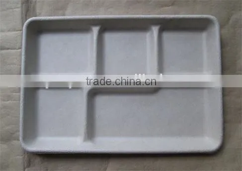 sugarcane bagasse disposable five compartment tray,disposable food tray stock for sale