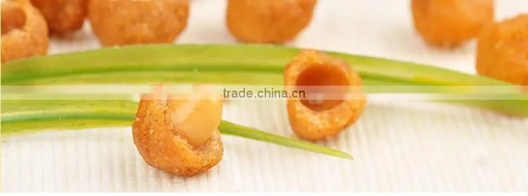 Snack Honey Coating Nut Sugar Flavoring Fried Peanut Sugaring Machine