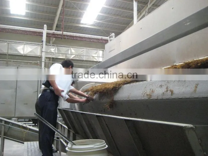 Seaweed mesh belt dryer