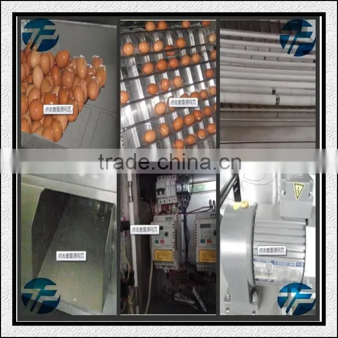 Stainless Steel Boiled Eggs Sheller Machine/Eggs Peeling Machine