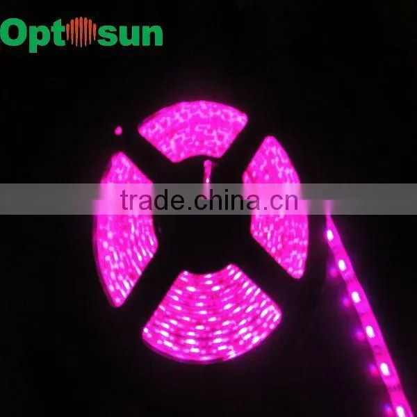 12v 60LEDs/M 5050 RGB flexible waterproof 50 50 rgb led strip