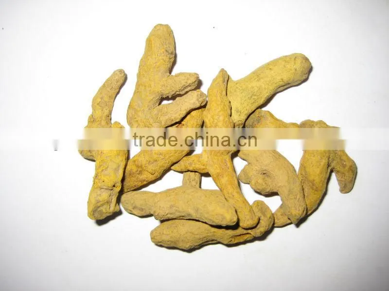 Fresh turmeric fingers