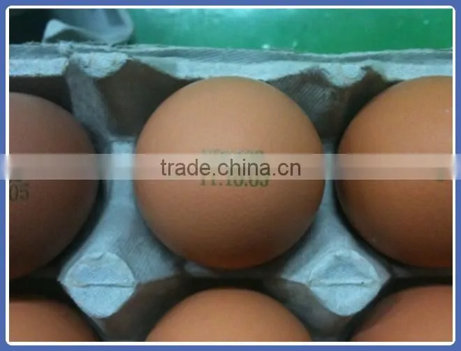 Salable appearance elegant plastic bottle coding machine
