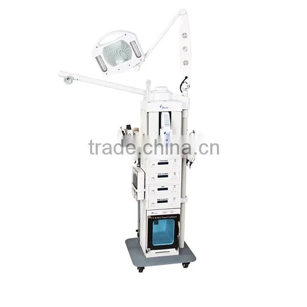 SW-19M 19 in 1 Facial Machine Multifunctional Beauty Salon Equipment