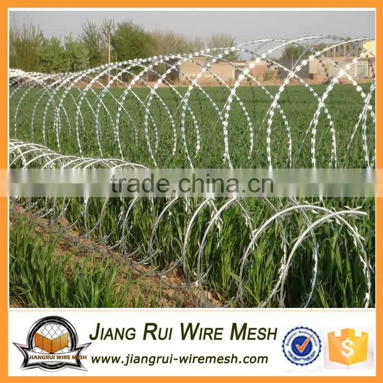 China High Quality Hot dipped Galvanized Concertina Razor Barbed Wire
