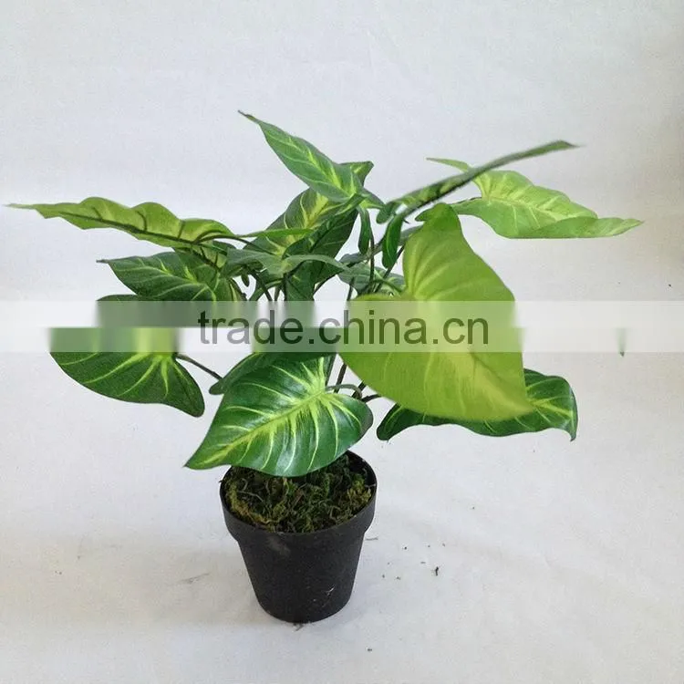 artificial bonsai tree