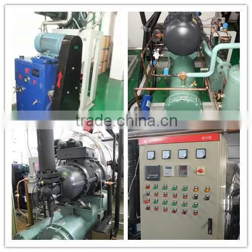 LTDG-Series Vacuum Freeze Drying Machine