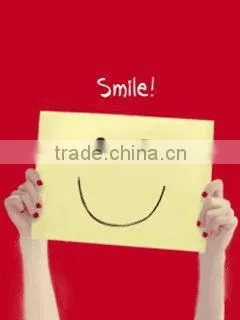 Automatic crispy dumpiling making machine for biscuit factory