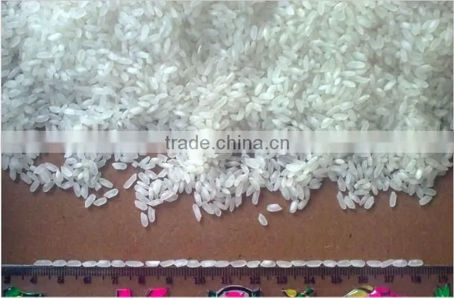 Vietnam White Rice 2013
