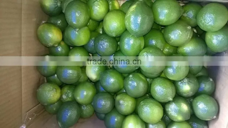 FRESH LEMON & FRESH LIME BEST price