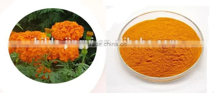 Natural marigold extract lutein, lutein and zeaxanthin