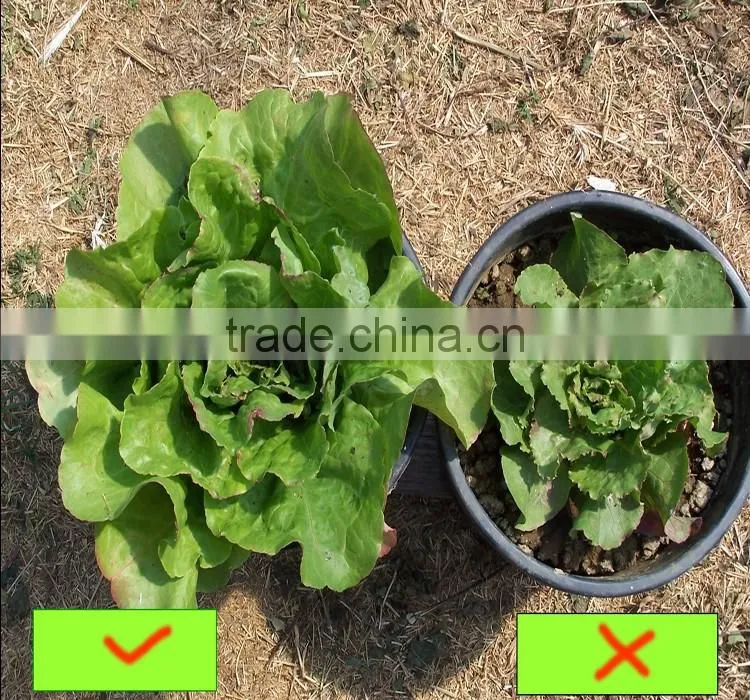 Agrolink 100% Water Soluble Humic Acid Potassium/potassium Humate Msds