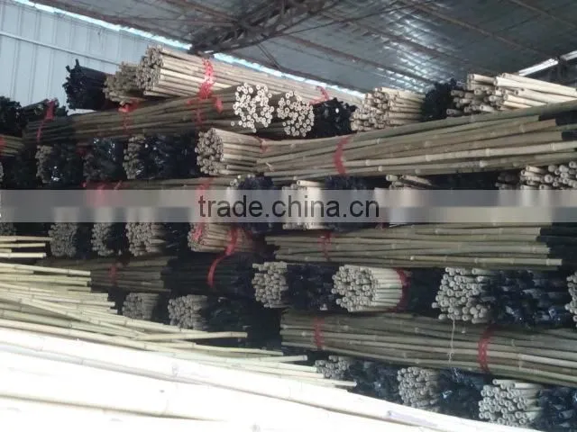Excellent Quality Factory Price Bamboo Canes for Sale