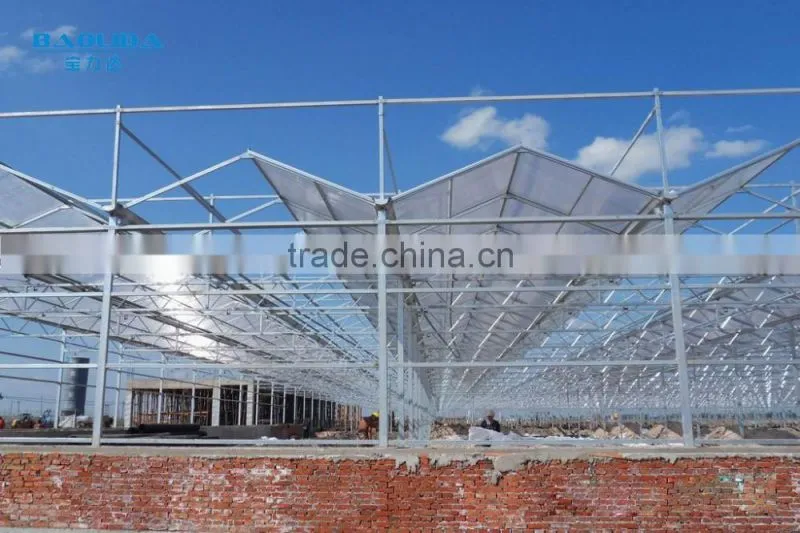 BaoLiDa low cost 20 micron polycarbonate greenhouse pc sheet greenhouse