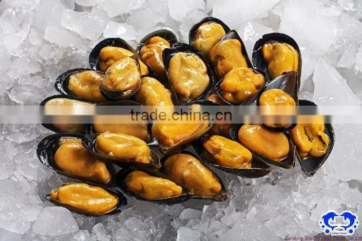 frozen half shell blue mussel meat
